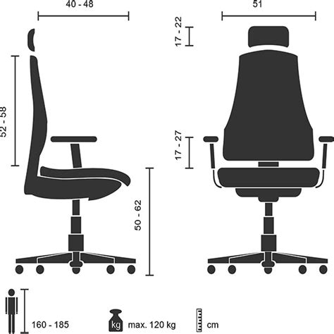 Heera Moti | Ergohuman Director High Back Office Chair | Tan