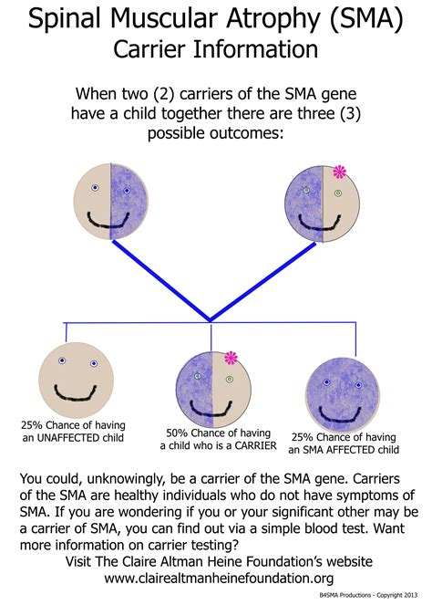 Spinal Muscular Atrophy Carrier