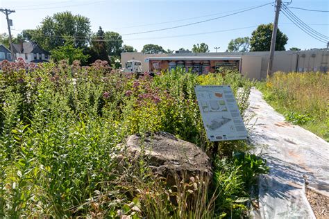 Sentyrz Market | Flickr