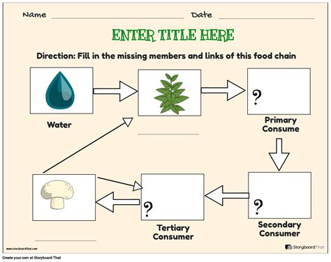 Food Chain Ecosystem Template Storyboard von templates - ecosystem of food