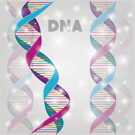 Image result for DNA Molecule Structure