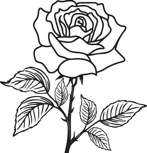 Image result for Rose Code Using HTML and CSS