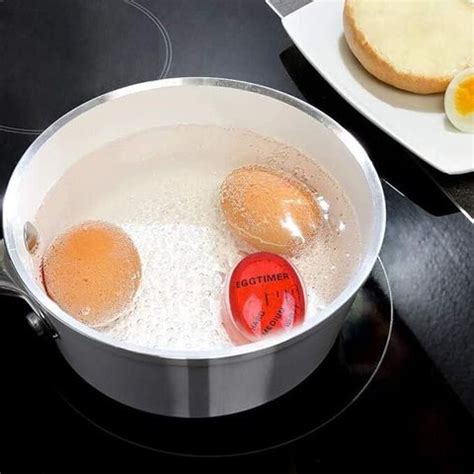 PEXCOO Egg Boiler, Timer, Heat Sensitive, Safe, Durable, Gift and Home ...