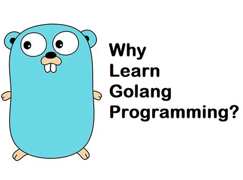 Image result for Learn Go Programming Language