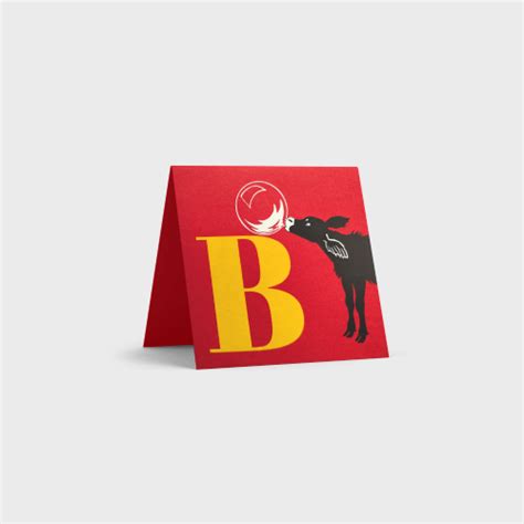 Alphabet Cards by Tara Books – Champaca Bookstore