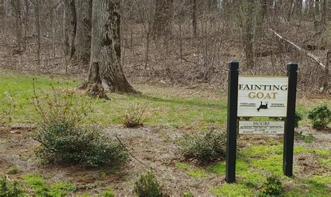 Fainting-Goat-Vineyards-Winery-Entrance | Ga Mountains Guide