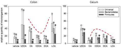 Bile Acids: Major Regulator of the Gut Microbiome