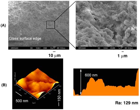 Preparation of Fluoroalkyl End-Capped Vinyltrimethoxysilane Oligomeric ...