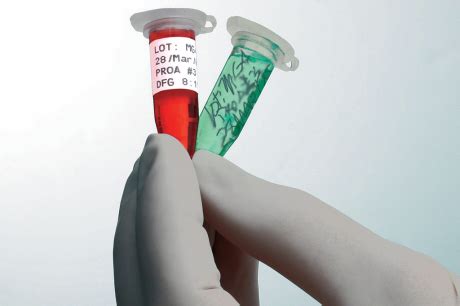 Image result for Small Lab Labels