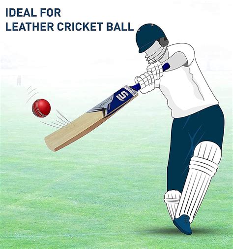 Strauss Super Kashmir Willow Cricket Bat, (Size 6) Blue Sticker ...