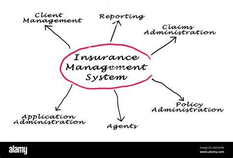 Insurance Management System Functions PowerPoint 的图像结果