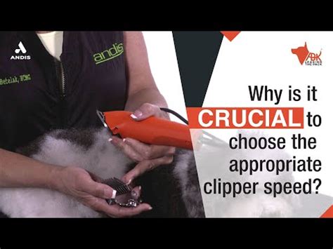 Andis AGC 2 Speed Pet Clipper For Pet Groomers - Shop Now! – ABK Grooming