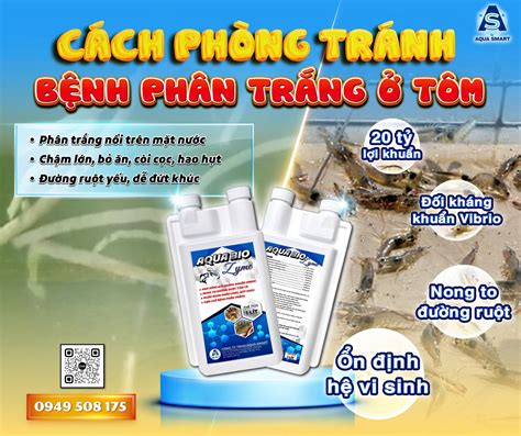 AMBIL SEKARANG