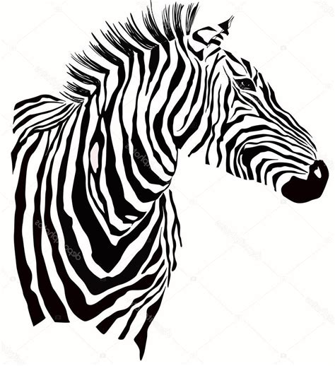 Image result for Zebra Face Drawing