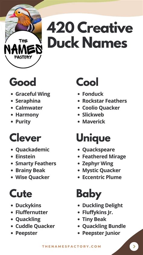 Funny Names For Ducks