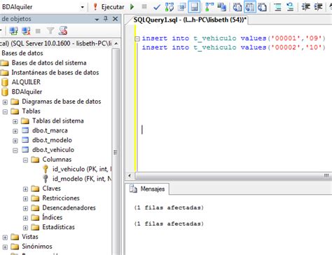 Image result for Como Insertar Datos En SQL Server