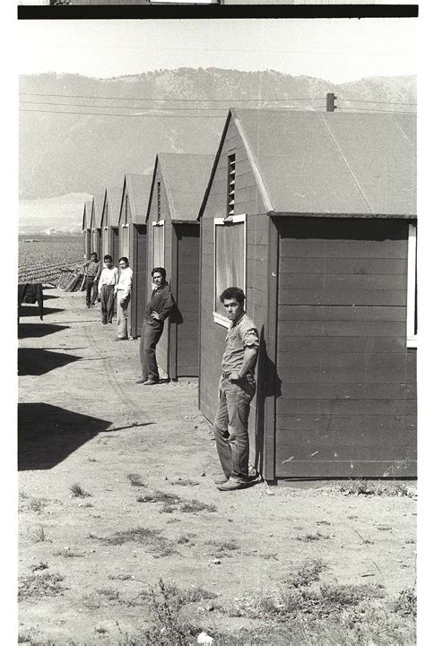 Braceros at Camp | National Museum of American History