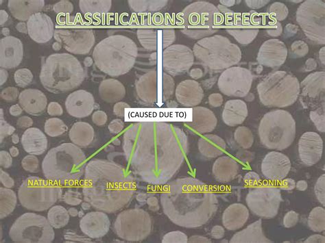 Image result for Defects in Timber