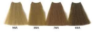 Buy Vivitone Color #6NA Dark Natural Ash Blonde Online at Low Prices in ...