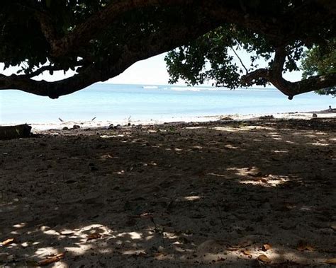 VANIMO SURF LODGE - Lodge Reviews & Photos - Tripadvisor