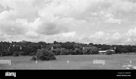 English Country Landscape 的图像结果