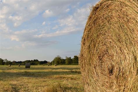 Haystack 的图像结果
