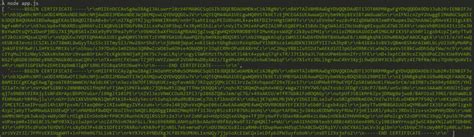 Node Server Using Open SSL 的图像结果