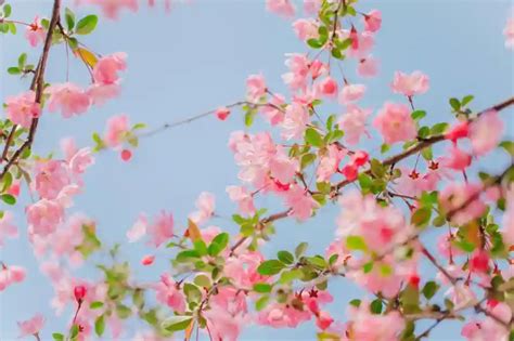 4K图片 的图像结果