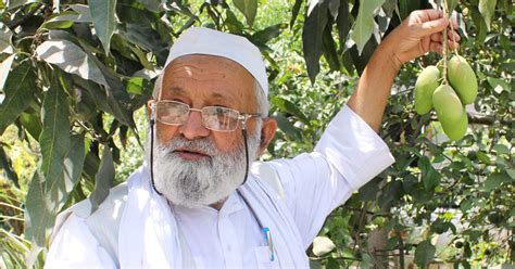 Three Years After #ModiMango, Mango Man Haji Kalimullah Brings Us The ...