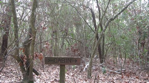 Houston Audobon Society: Edith L Moore Nature Sanctuary – State of ...