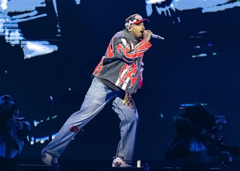Chris Brown's Tour Canceled? Concert Dates Now in Jeopardy After Bottle Attack Arrest
