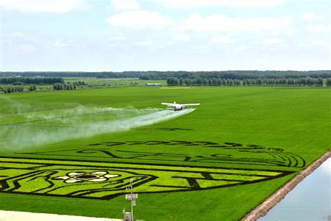 大农业 的图像结果