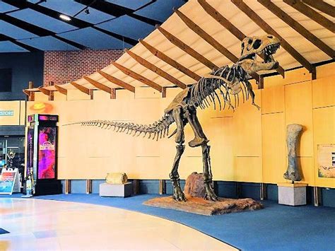 The Schiele Museum of Natural History (Gastonia) - All You Need to Know ...