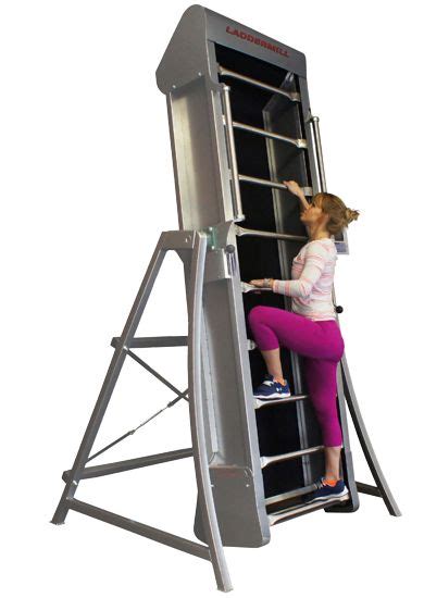 Image result for Ladder Climb Machine