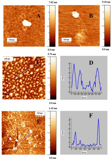 Gold Nanosystems Covered with Doxorubicin/DNA Complexes: A Therapeutic ...
