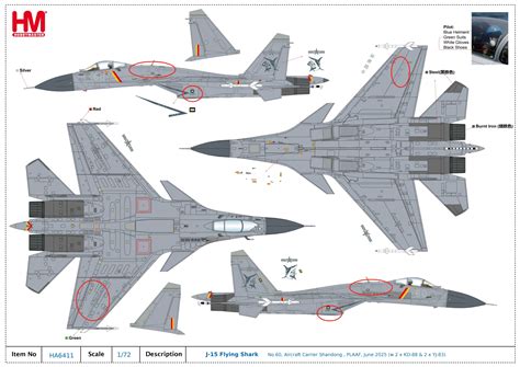 J-15 Flying Shark No.60, Aircraft Carrier Shandong , PLAAF, June 2025 ...