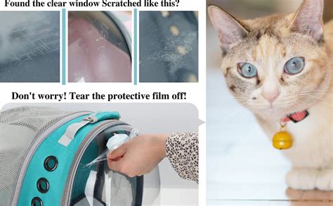 Emily Pets Cat Carrier Backpacks Bubble Bag, Dog Backpack Carrier for ...