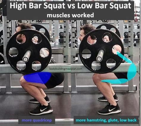 21 Best Compound Leg Exercises for Glutes, Hamstrings, & Quads