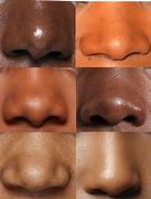 Image result for noses