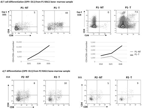 Restoration of T and B Cell Differentiation after RAG1 Gene Transfer in ...