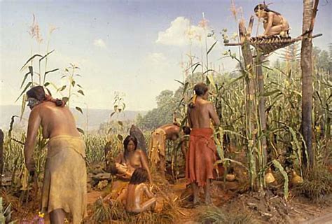 Feast on the Flavors: Unveiling the Culinary Treasures of the Iroquois Nation