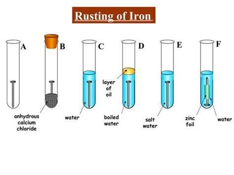 Image result for Rusting Science