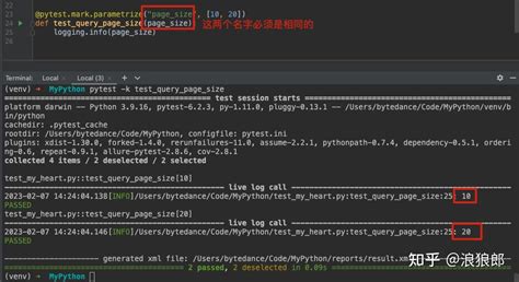 Pysshltest 的图像结果