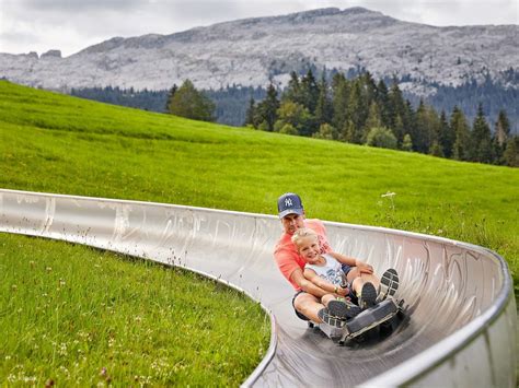 Brienzer Rothorn Cable Car Ticket in Switzerland - Klook India