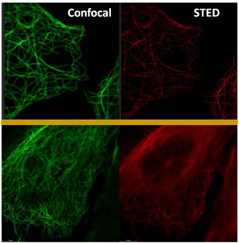 SATHI FOUNDATION IITDelhi