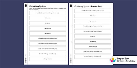 Circulatory System Sequencing Cards - KS3/KS4