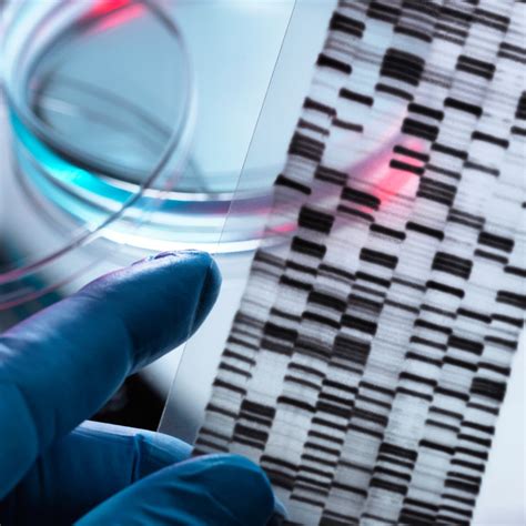 Image result for Define Modification