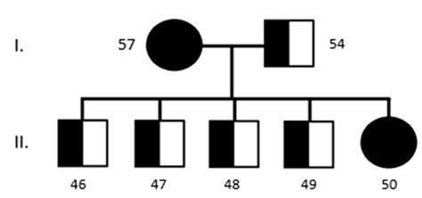 Analysis of Selected Eye Disorders in a Group of Predisposed Breeds of ...