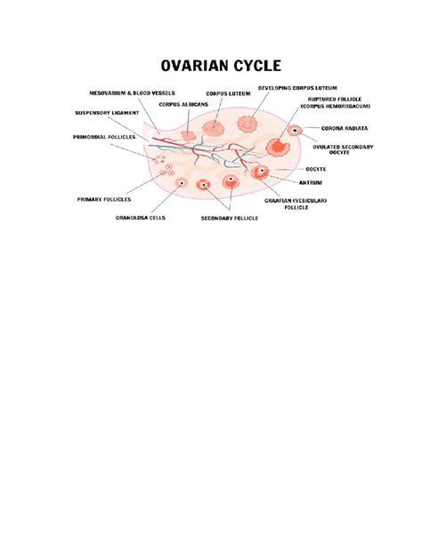 Bvvhvghvgh - rgpv syllabus notes 6th sem pharmacy - Biopharmaceutics ...