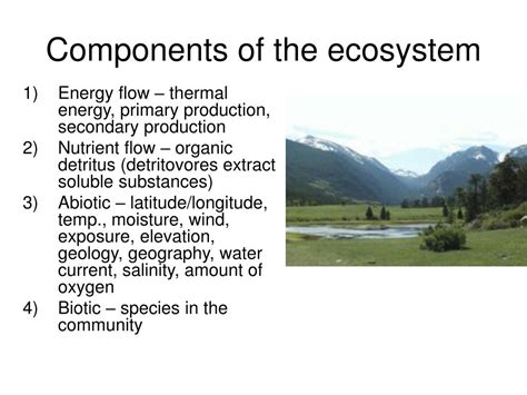 Image result for Ecosystem Approach